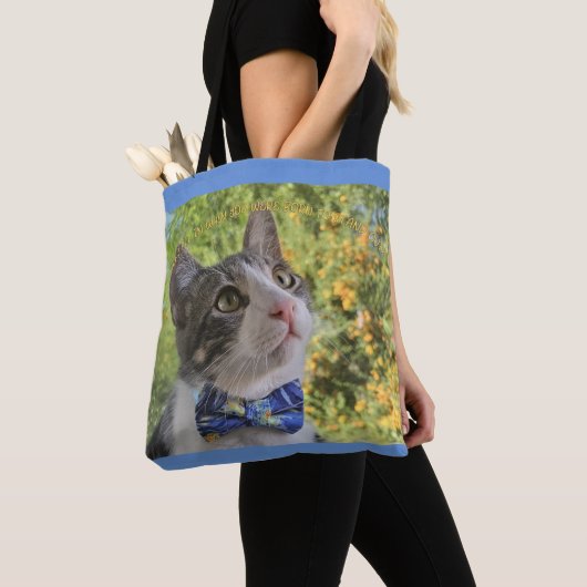 Waarom passen in tote bag (Dichtbij)