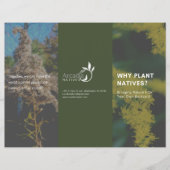 Waarom Plant Natives Goldenrod Green Theme Flyer (Voorkant)
