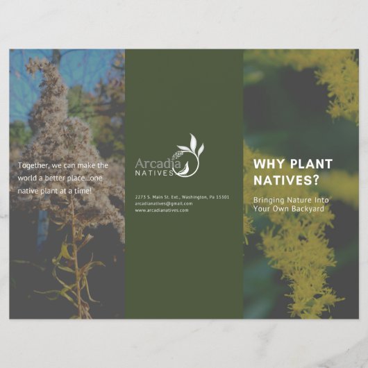Waarom Plant Natives Goldenrod Green Theme Flyer (Voorkant)