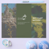 Waarom Plant Natives Goldenrod Green Theme Flyer (Enkel)