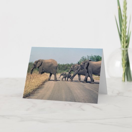 Waarom stak de olifant de weg over? (1) kaart (Voorkant)