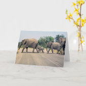 Waarom stak de olifant de weg over? (2) kaart (Gele Bloem)