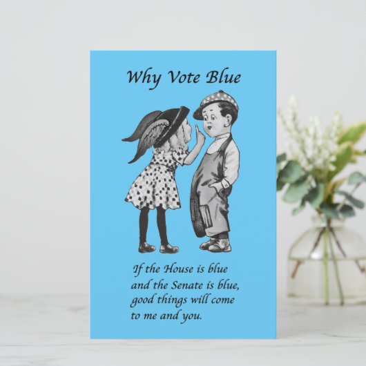 Waarom Stemmen Blauw in 2022 (Staand voorkant)