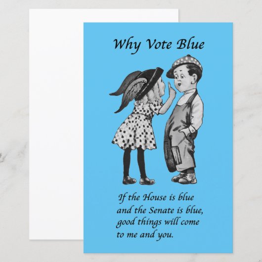 Waarom Stemmen Blauw in 2022 (Voorkant / Achterkant)