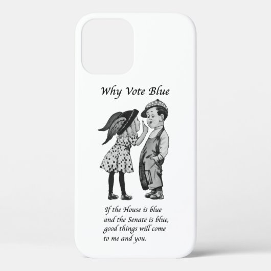 Waarom Stemmen Blauw in 2024 Case-Mate iPhone Case (Achterkant)