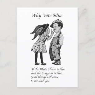 Waarom stemmen in 2028 helemaal blauw briefkaart