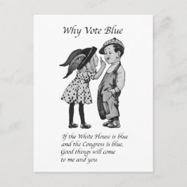 Waarom stemmen in 2028 helemaal blauw briefkaart