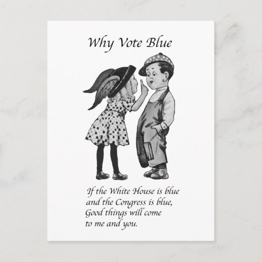 Waarom stemmen in 2028 helemaal blauw briefkaart (Voorkant)