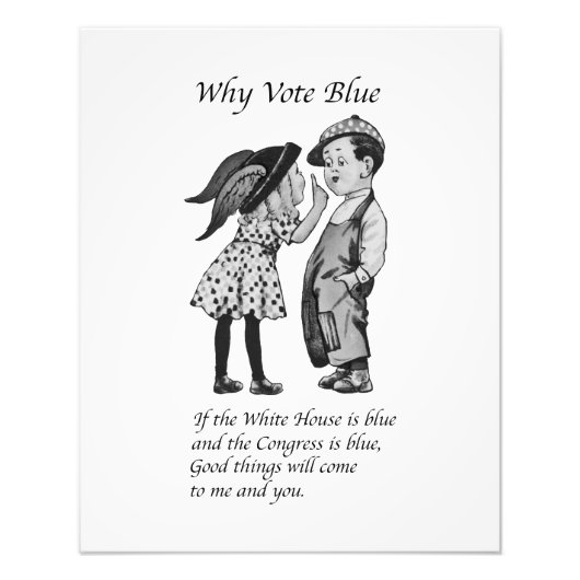 Waarom stemmen in 2028 helemaal blauw foto afdruk (Voorkant)