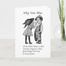 Waarom stemmen in 2028 helemaal blauw kaart