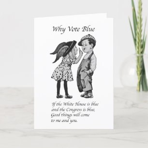 Waarom stemmen in 2028 helemaal blauw kaart