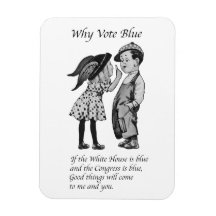 Waarom stemmen in 2028 helemaal blauw