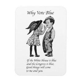 Waarom stemmen in 2028 helemaal blauw magneet