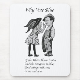 Waarom stemmen in 2028 helemaal blauw muismat