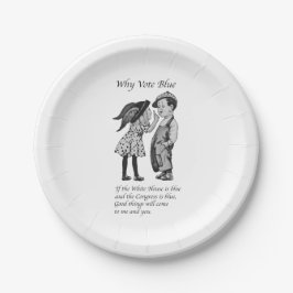 Waarom stemmen in 2028 helemaal blauw papieren bordje