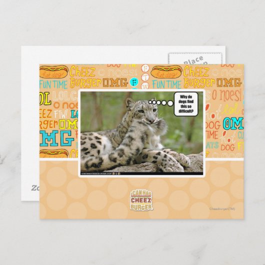 Waarom vinden honden dit zo moeilijk? briefkaart (Voorkant / Achterkant)