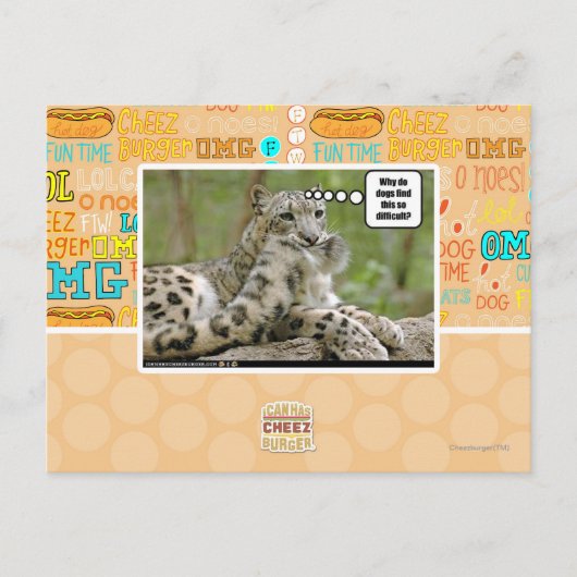 Waarom vinden honden dit zo moeilijk? briefkaart (Voorkant)