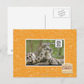 Waarom vinden honden dit zo moeilijk? briefkaart (Voorkant / Achterkant)