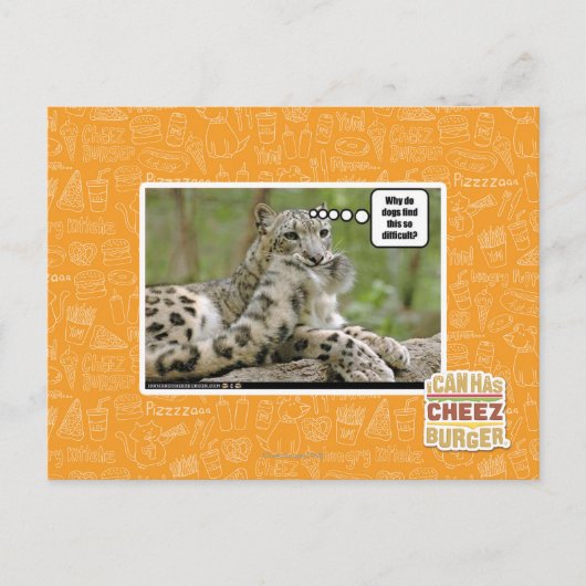 Waarom vinden honden dit zo moeilijk? briefkaart (Voorkant)