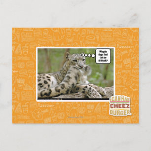 Waarom vinden honden dit zo moeilijk? briefkaart