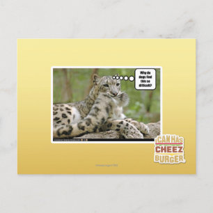 Waarom vinden honden dit zo moeilijk? briefkaart