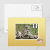 Waarom vinden honden dit zo moeilijk? briefkaart (Voorkant / Achterkant)