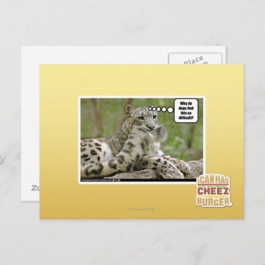 Waarom vinden honden dit zo moeilijk? briefkaart (Voorkant / Achterkant)