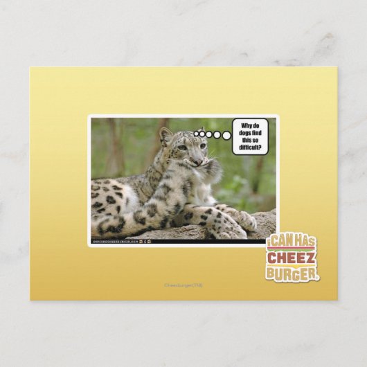 Waarom vinden honden dit zo moeilijk? briefkaart (Voorkant)