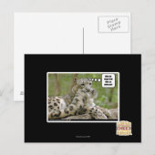 Waarom vinden honden dit zo moeilijk? briefkaart (Voorkant / Achterkant)