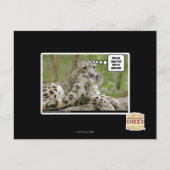 Waarom vinden honden dit zo moeilijk? briefkaart (Voorkant)