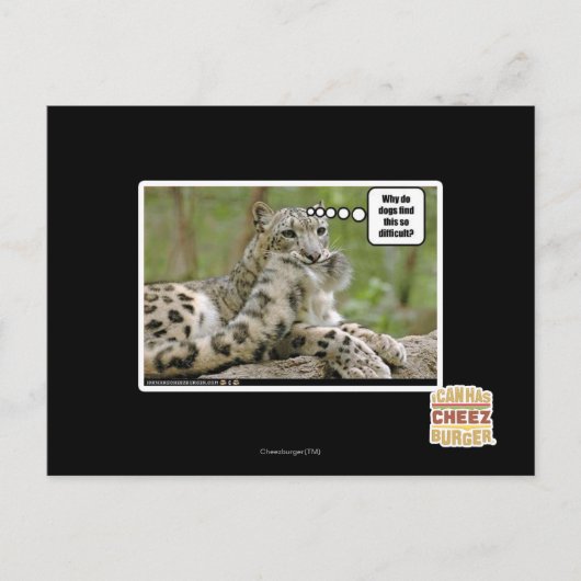 Waarom vinden honden dit zo moeilijk? briefkaart (Voorkant)