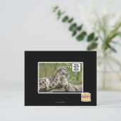 Waarom vinden honden dit zo moeilijk? briefkaart (Staand voorkant)