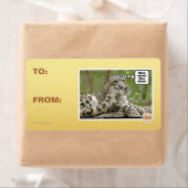 Waarom vinden honden dit zo moeilijk? etiket (Insitu)