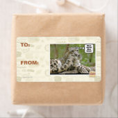 Waarom vinden honden dit zo moeilijk? etiket (Insitu)