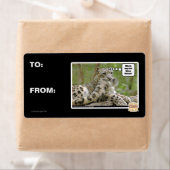 Waarom vinden honden dit zo moeilijk? etiket (Insitu)