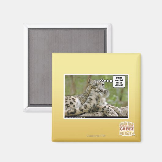 Waarom vinden honden dit zo moeilijk? magneet (Voorkant / Achterkant)