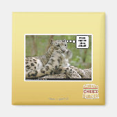 Waarom vinden honden dit zo moeilijk? magneet (Voorkant)