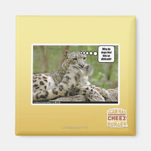 Waarom vinden honden dit zo moeilijk? magneet