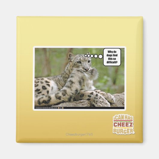 Waarom vinden honden dit zo moeilijk? magneet (Voorkant)