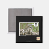 Waarom vinden honden dit zo moeilijk? magneet (Voorkant / Achterkant)