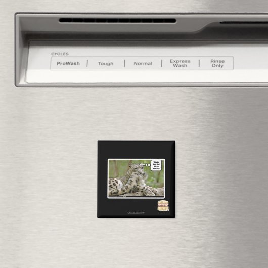 Waarom vinden honden dit zo moeilijk? magneet (Insitu (Vaatwasser))