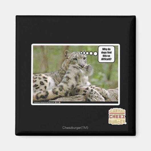 Waarom vinden honden dit zo moeilijk? magneet (Voorkant)