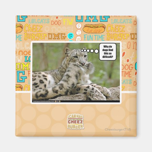 Waarom vinden honden dit zo moeilijk? magneet (Voorkant)