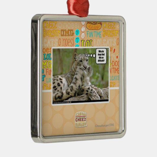 Waarom vinden honden dit zo moeilijk? metalen ornament (Rechts)