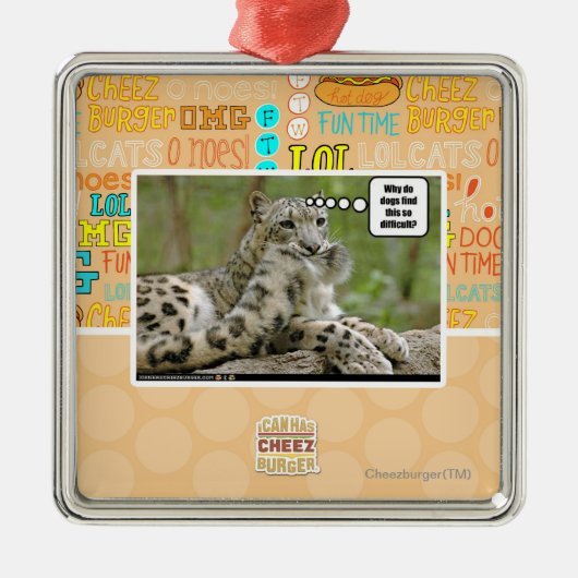 Waarom vinden honden dit zo moeilijk? metalen ornament (Voorkant)