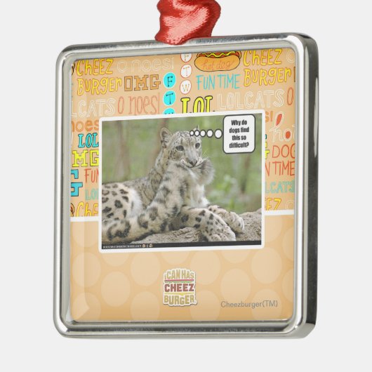 Waarom vinden honden dit zo moeilijk? metalen ornament (Links)