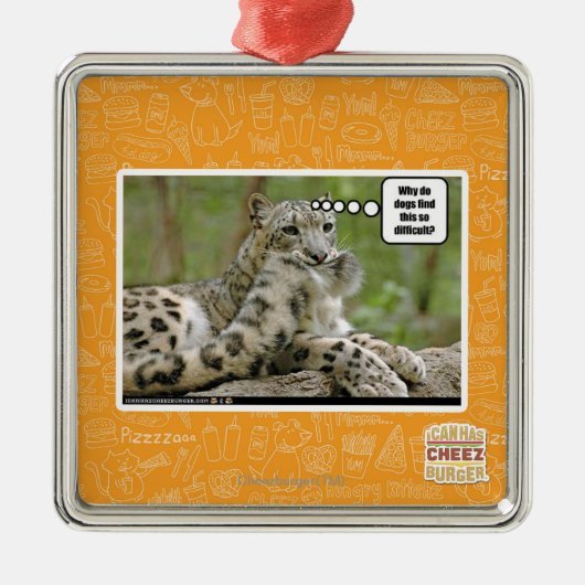 Waarom vinden honden dit zo moeilijk? metalen ornament (Voorkant)