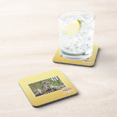 Waarom vinden honden dit zo moeilijk? onderzetter (Rechterzijde)