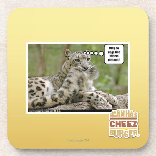 Waarom vinden honden dit zo moeilijk? onderzetter (Voorkant)