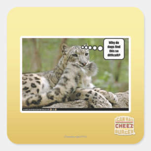 Waarom vinden honden dit zo moeilijk? vierkante sticker
